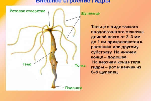 Как зайти в кракен с андроида