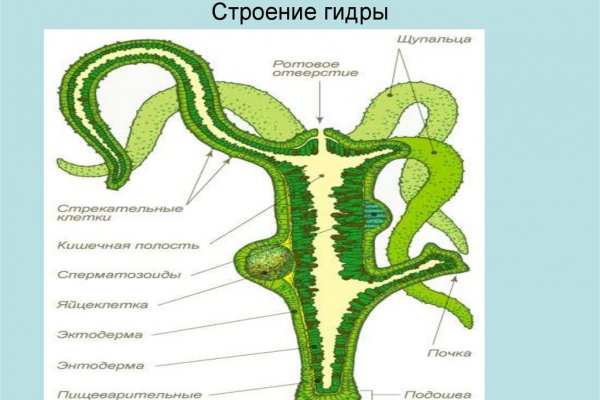 Кракен сайт продаж