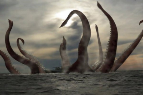 Kraken зеркало krakens13 at